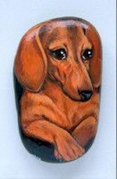 Собачки на камнях