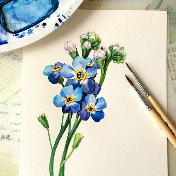 Незабудки акварелью