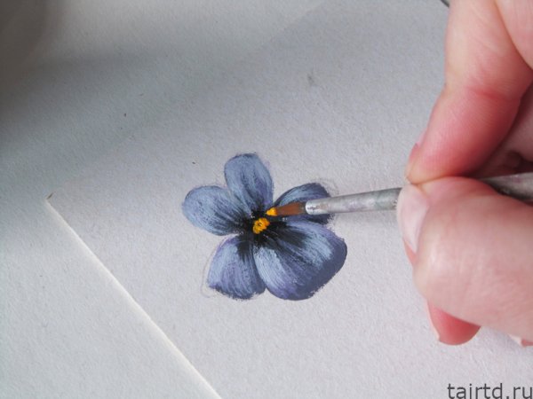Фиалка поэтапное рисование