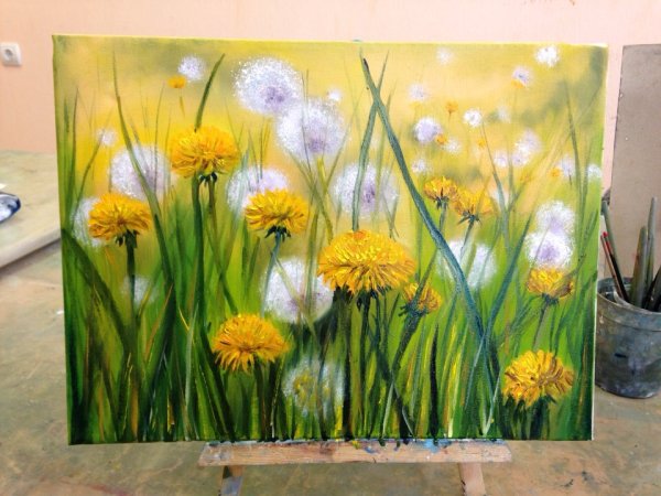 Одуванчики маслом на холсте