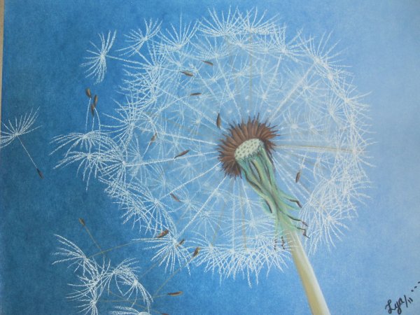 Одуванчики акрилом
