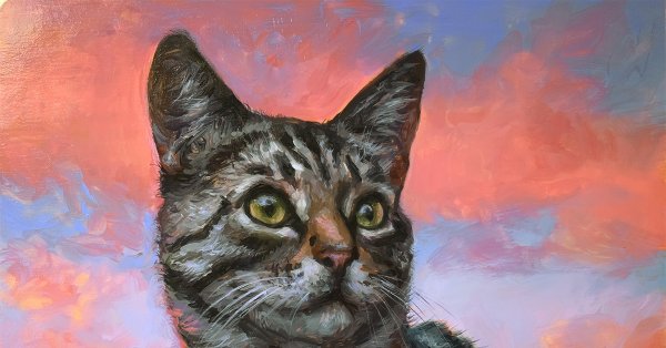 Кошка акрилом