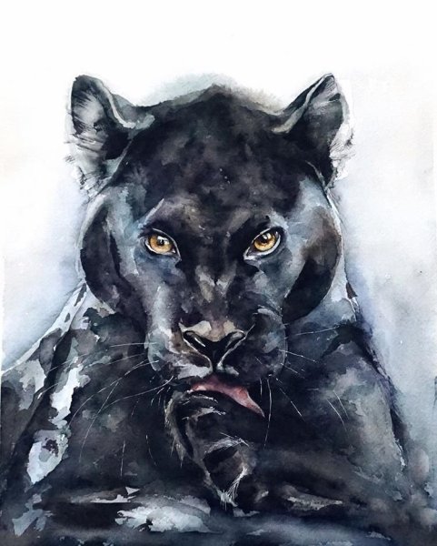 Пантера картина