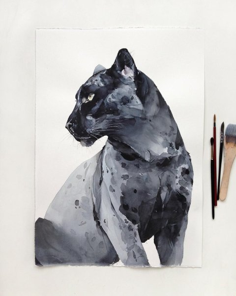 Наталья Каданцева акварель животные