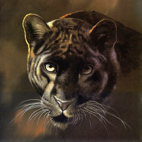 Поллианна Пикеринг животные