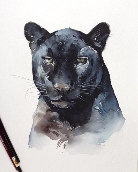 Наталья Каданцева акварель звери