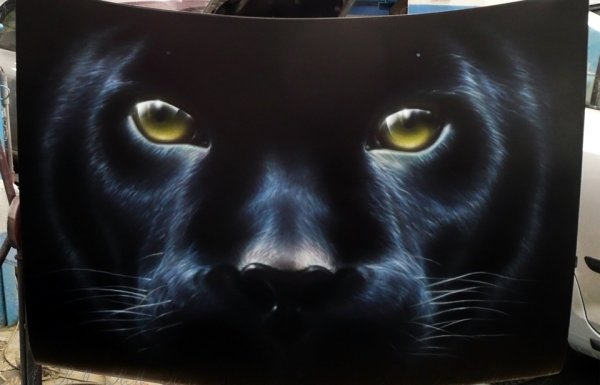 Аэрография черный кот