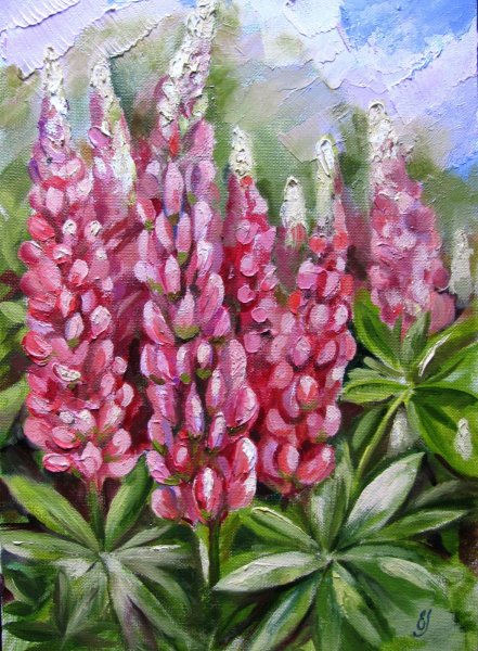 Люпины Ольга Базанова