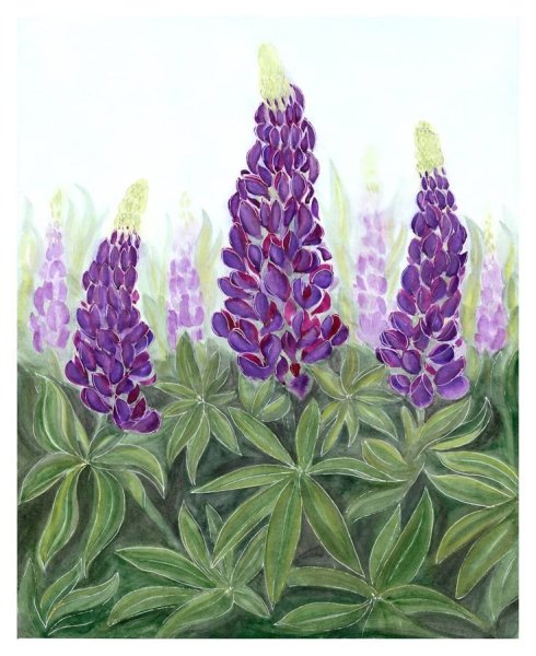 Люпины картина маслом