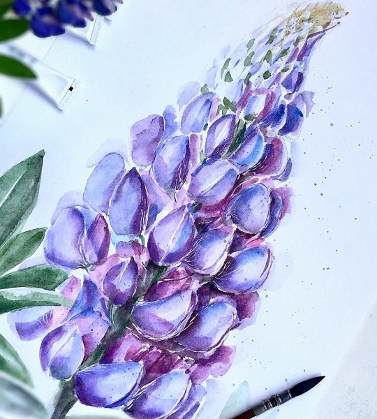 Люпины мастихином