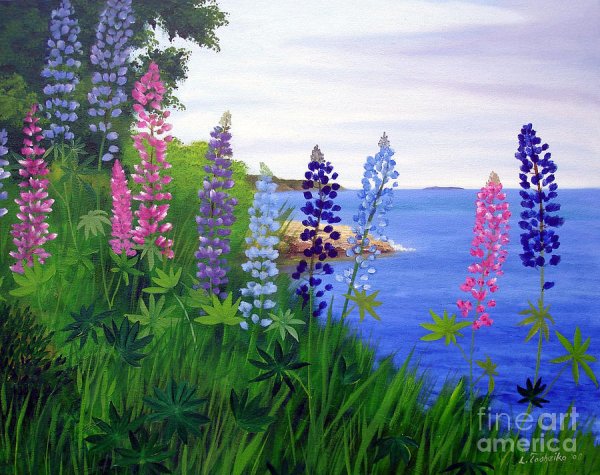 Люпины Ольга Базанова