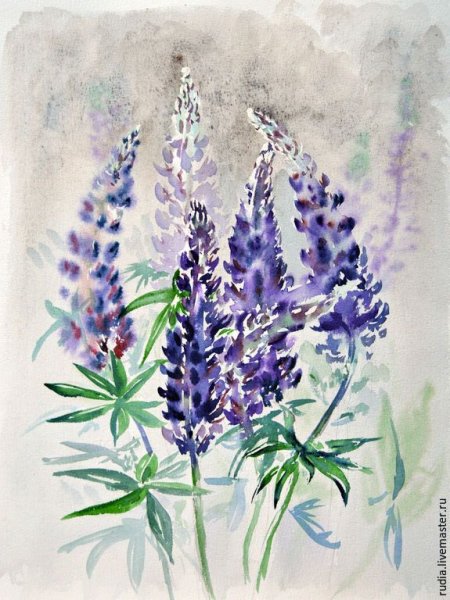 Акварель люпиновое поле