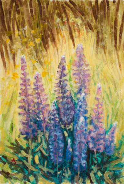 Люпины в Ботанической живописи