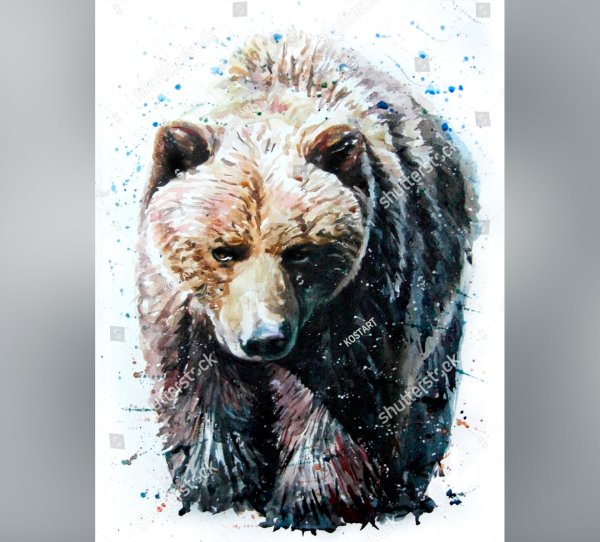 Медведь картина акварель