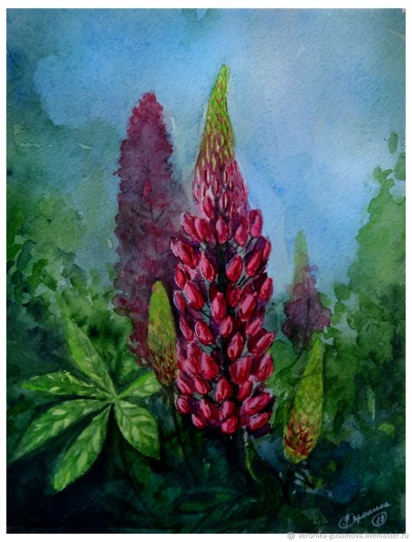 Люпины гуашью