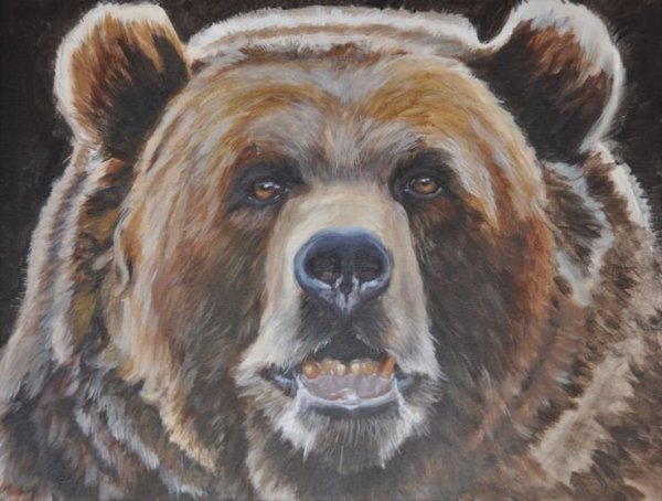 Бурый медведь арт