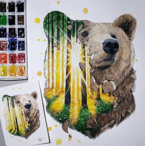 Медведь красками