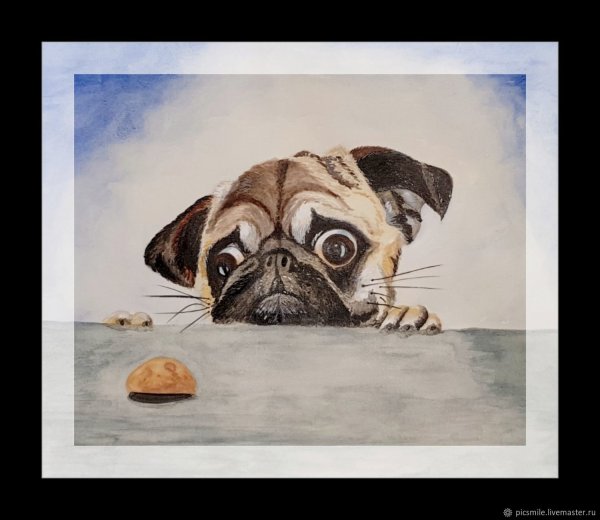 Алмазная картина Мопс