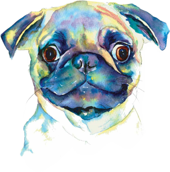 Мопс акварельными карандашами