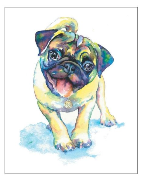 Мопс акварелью