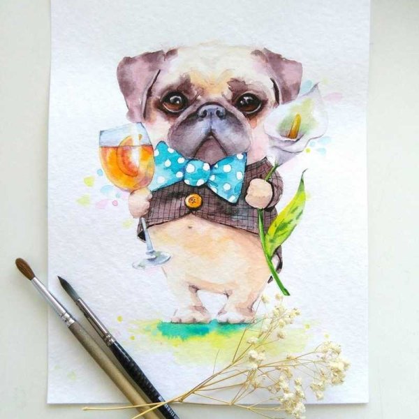 Скетч Мопс акварель