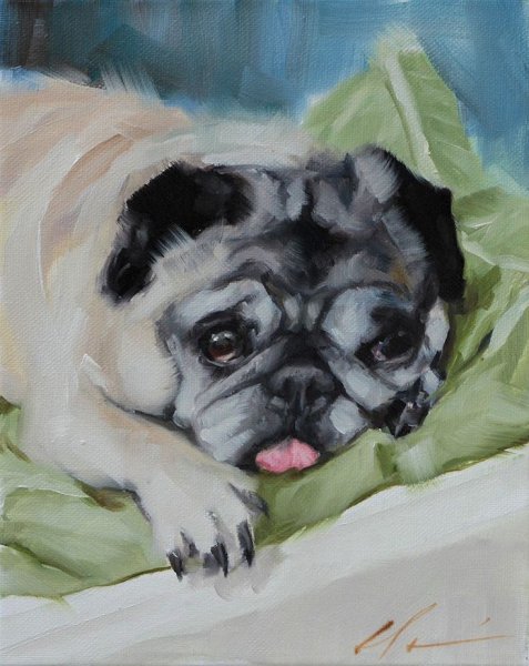 Мопс картина