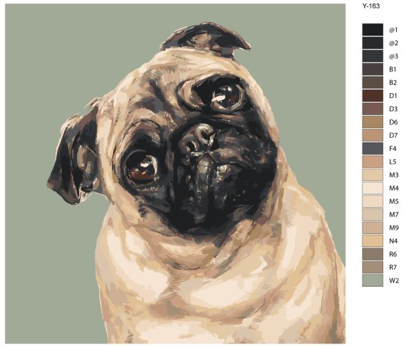 Картина по номерам Мопс