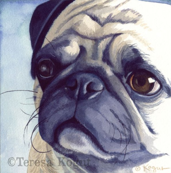 Мопс акварелью пошагово