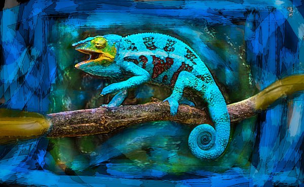 Хамелеон дьетькецкие