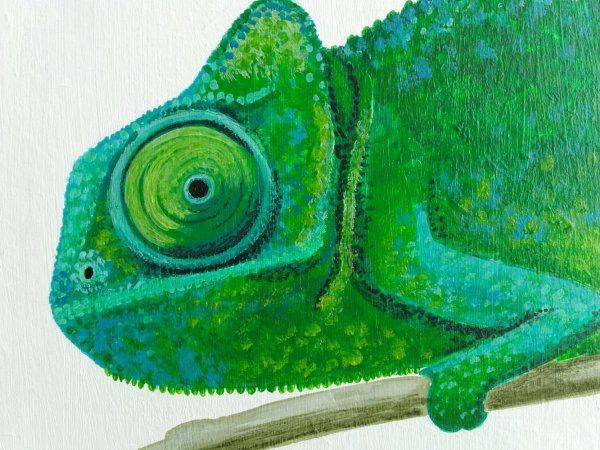 Хамелеон акрилом