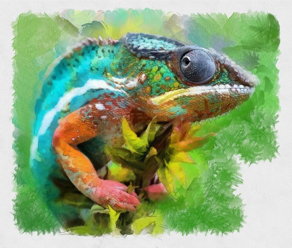 Хамелеон рисунок