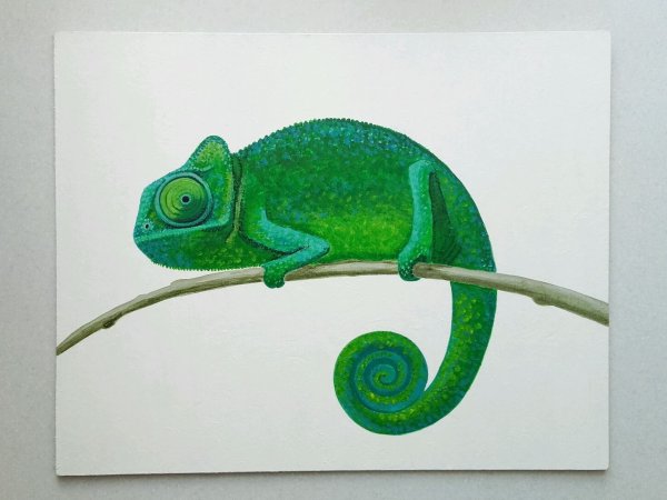 Хамелеон картина