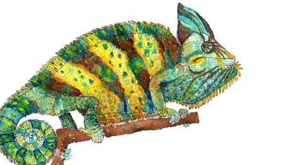 Рисование хамелеона