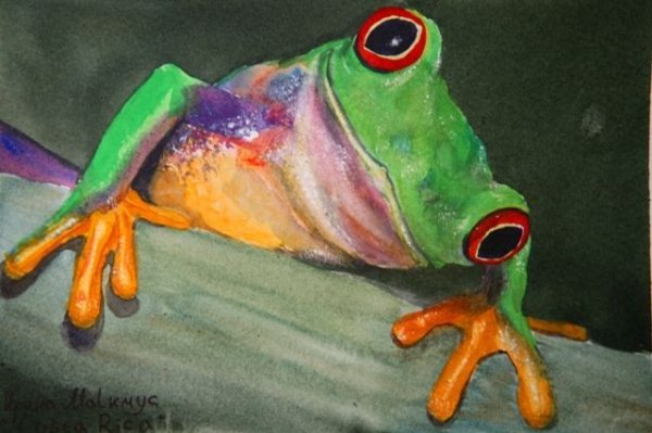 Жаба гуашью