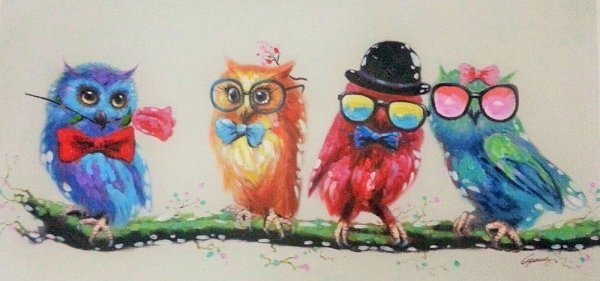 Совушка яркий рисунок