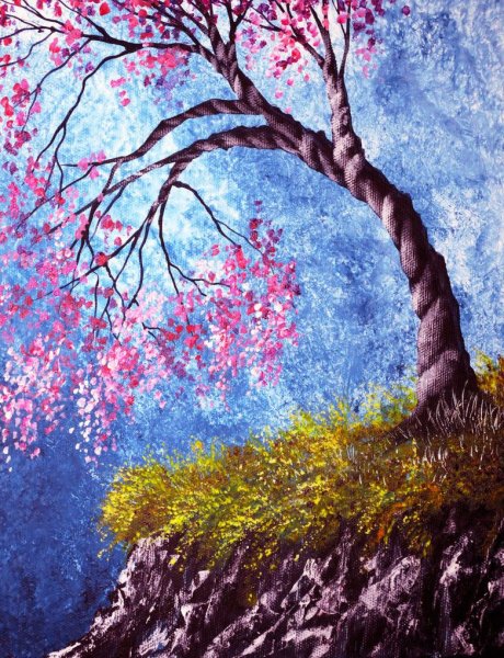 Ann Marie Bone Сакура