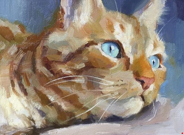 Кот акварелью