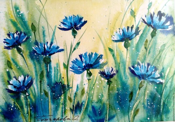 Василек гуашью