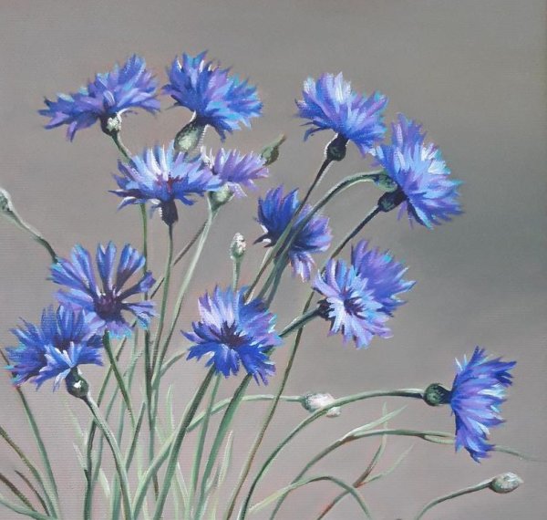 Васильки акрилом