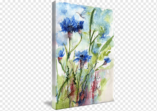 Полевые цветы акварелью