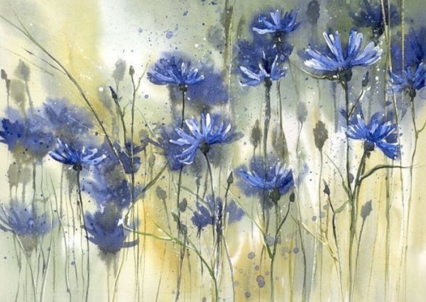 Малгожата Шчечинска