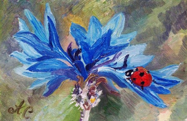 Рисуем Василек красками