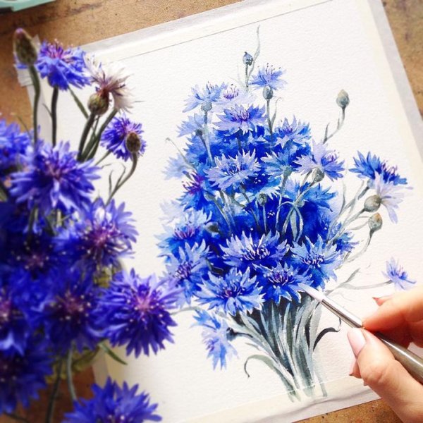 Акварельные васильки