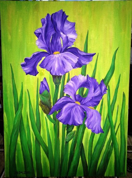 Ирисы акрилом