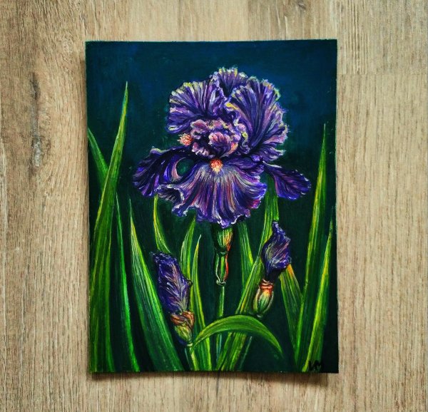 Ирисы картина гуашью