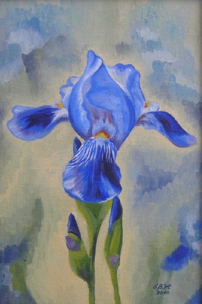 Синие ирисы Левашов Игорь