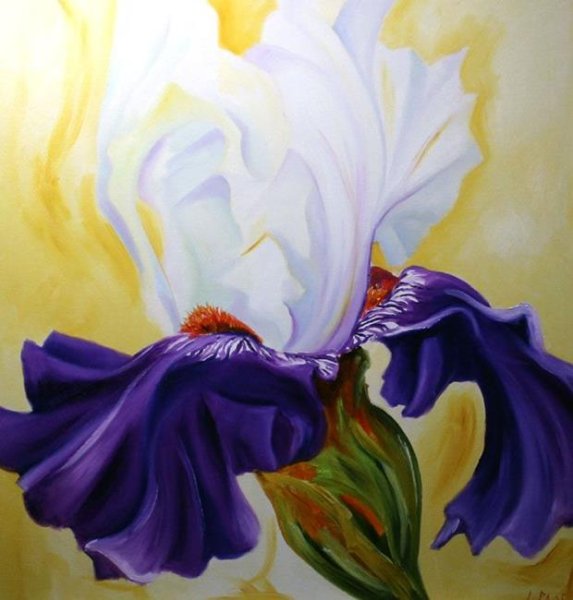 Ирисы маслом Гарри Дженкинс