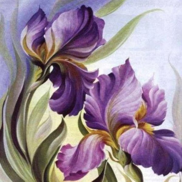 Ирис роспись