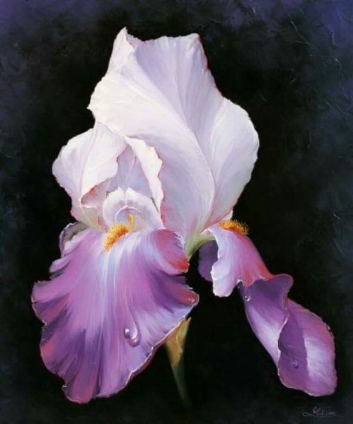 Ирисы художница Marianne Broome