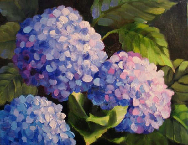 Ренуар гортензии